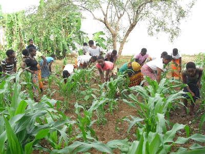 Misión en Namapa-Nampula (Mozambique) 