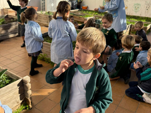 CLASE DE CONOCIMIENTO DEL ENTORNO EN EL HUERTO ESCOLAR.