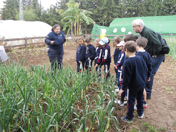 1º de Primaria en la Granja Escuela