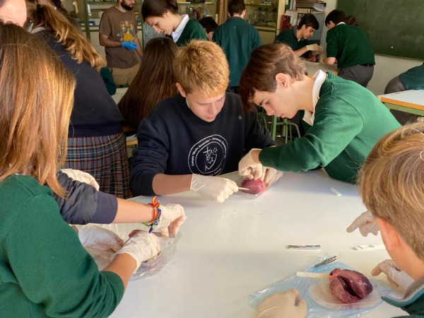 PRÁCTICAS EN EL LABORATORIO ALUMNOS DE 4º de ESO