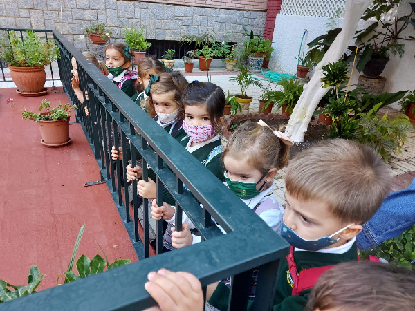 INFANTIL SALUDA A LA VIRGEN