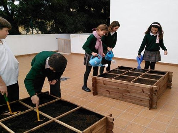 Preparativos del huerto escolar