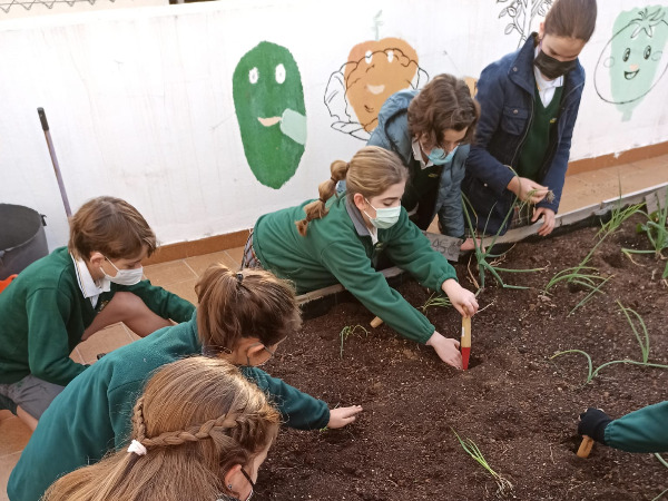 COMIENZAN LAS SIEMBRAS EN EL HUERTO ESCOLAR.