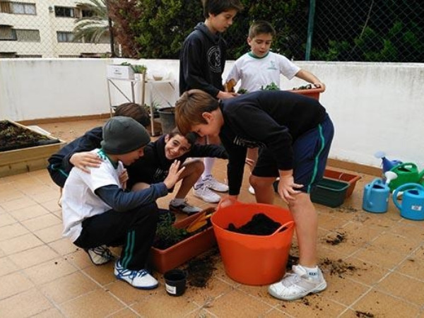 Seguimos trabajando en el huerto