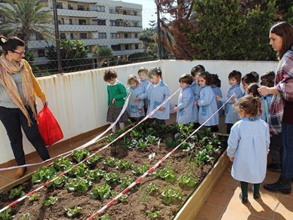 Aprendemos a diferencias frutas y verduras