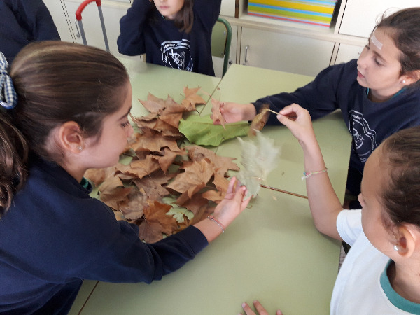 Trabajamos con las plantas