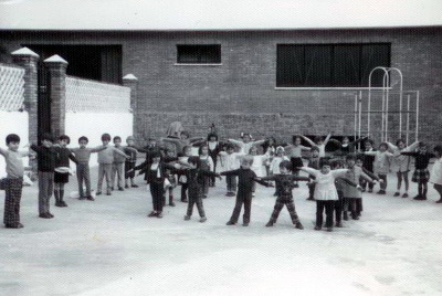 Niños Niños